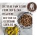 Willow Balm Natural Pain Relief Cream for Arthritis & Joint Pain - 3.5 fl oz - Buy Online on GoSupps.com