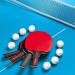 Pro Quality Ping Pong Paddles Set of 4 with Balls - 4 Player Table Tennis Racket Set for Ping Pong Night - Buy Online on GoSupps.com