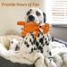 Ousiya 5-PACK Squeaky Dog Toys Plush Dog Toys Assortment Soft Dog Toys Value Dog Toy Bundle Stuffed Animal Chew Toys for Puppies Small Mediem Large Dogs - Buy Online on GoSupps.com