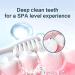 Body Accel Niacinamide Whitening Toothpaste - Stain Remover & Tooth-Up Formula (1PC) | Buy Internationally - Buy Online on GoSupps.com