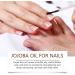 Huile de jojoba pour cuticules pour ongles huile de jojoba avec vitamine B et E Hydrate r pare et favorise la croissance des ongles Adoucissant cuticules pr vient la s cheresse des ongles pour - Buy Online on GoSupps.com