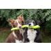 TRIXIE Robust Snack-Snake for Dogs - 42 CM Green TPR Chew Toy | Keep Your Pet Engaged with Snacks & Treats - 34949 - Buy Online on GoSupps.com
