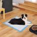 BESTLE Extra Large Pet Training and Puppy Pads 28x34 - 40 Count | Super Absorbent & Leak-Proof - Buy Online on GoSupps.com