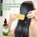 Rosemary Oil for Hair Growth Natural Rosemary Oil Nourishes the Scalp for Hair Regrowth & Hair Thickening - Hair Loss Prevention(120ml) - Buy Online on GoSupps.com