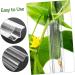 SUPVOX 4 pcs Tool Mould Cucumber Star Shapers Vegetable Growing Shaping Styling Forming Shaped Growth - Buy Online on GoSupps.com