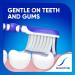 Sensodyne Sensitive Care Soft Toothbrush - 2 Pack - Buy Online on GoSupps.com
