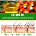 Batana Oil for Hair Growth Organic Cold Pressed 100% Pure Batana Oil Prevents Hair Loss & Repairs Damaged Hair Nourishing Hair Oil for Men & Women All Hair Types 60ml - Buy Online on GoSupps.com