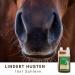 Supravit Bronchial Herbs for Horses | 1000ml Liquid Herbal Mixture | Supports Airway Health with 14 Natural Ingredients - Buy Online on GoSupps.com
