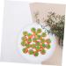 Zerodeko Kids Car Toys 50pcs Tomato Model Car Toys for Kids Ornament Tomatoes Simulation Vegetable Cognitive Toys Lifelike Decoration Kids Cars Toy Artificial Red False Fruit Decorate Foam - Buy Online on GoSupps.com