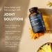 Mt. Angel Vitamins - Joint Solution - Curcumin C3 Complex Turmeric Tumeric Turmeric Curcumin Joint Support Supplement Tumeric and Ginger Turmeric Supplement Glucosamine Collagen - 60 Caps - Buy Online on GoSupps.com