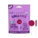Lolleez Organic Lollipops for Kids Sore Throat Relief Mixed Berry Perfect for Soothing A Sore Throat While Tasting Great Mixed Berry Flavor 28 Count Mixed Berry 28 Count
