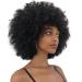 Becus short afro wigs for black women Brazilian real hair crazy curly wig afro-puff wigs for black women natural black natural black-fluffy hair