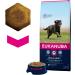 Eukanuba Adult Dog Food For Large Dogs Rich In Fresh Chicken For the Optimal Body Condition of Your Dog 12 kg - Buy Online on GoSupps.com
