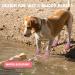 DEWVIE Dog Shoes for Small Dog Anti-Slip Dog Boots with Reflective Strip Puppy Paw Protectors for Indoor Outdoor Walking Winter Snow (Pink Size 1) Pink Inside #1: 1.1''x1.4''(W*L) (Pack of 4) - Buy Online on GoSupps.com