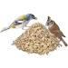 Buy Paul s M hle Sunflower Peanut Mix 10kg - Premium Seed Blend for Birds | International Shipping Available - Buy Online on GoSupps.com