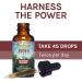 Host Defense Reishi Extract 1 fl oz - General Wellness Mushroom Supplement - Buy Online on GoSupps.com
