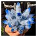 Crystal Cluster Sky Blue Phantom Quartz Crystal Cluster Specimen ningxiao (Size : 400-500g)