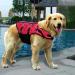 Dog Life Jacket - Safety Swimming Vest for Small & Large Dogs | Red Bone (Large) - Buy Online on GoSupps.com