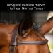 Buy Horse Smooth Ear Plugs - 2 Packs (4 Pairs) - Reduce Noise for Training & Riding - Fits 14 HH & Over - Fun Magnet Included - Buy Online on GoSupps.com