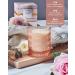 M&SENSE Rose Ivy Candle - Scented Soy Candle Gifts for Women | 45 Hour Slow Burning Aromatherapy | Luxury Home Decor & Stress Relief | Perfect Valentines Day Gifts for Her - Buy Online on GoSupps.com
