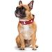 HUNTER SWISS Leather Dog Collar - High Quality XS-S (37) with Swiss Cross - Red/Black - Buy Online on GoSupps.com