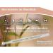 Premium Acupressure Pen Set | 7-Piece Acupuncture Massage & Scar Stick - International Shipping Available - Buy Online on GoSupps.com