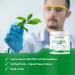 Nutrii Organic Green Immunity Superfood Powder - Daily Formula with Turmeric, Probiotics & Ashwagandha - Lemon-Mint Flavor | Boost Energy & Digestion - Buy Online on GoSupps.com