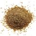 Organic Whole Celery Seeds 1lb - Non-GMO, Vegan, Kosher, Rich in Iron, Zinc & Fiber - For Pickling & Seasoning Vegetables, Soups, Salads - Bulk Spice Pack - Buy Online on GoSupps.com
