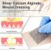 Carbou Silver Calcium Alginate Wound Dressing with Ag - 3x3 Patches | 10 Sterile Highly Absorbent Non-Stick Pads - Ideal for Effective Wound Care - Buy Online on GoSupps.com