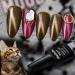 Allenbelle Cat Eye Magnet Gel Nail Polish - Soak Off UV Magnetic Gel (with Magnetic Tool) - Multi-color Series - Buy Online on GoSupps.com
