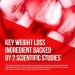 Hydroxycut Drink Mix for Weight Loss | Energy Drink Powder | Metabolism Booster | Wildberry Blast Flavor | 21 Packets x 2 Packs - Buy Online on GoSupps.com