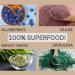 Ocean's Balance Detox Smoothie Powder - Organic Blueberry, Spirulina, Dulse Seaweed & Barley Grass Juice - 14-Day Cleanse - 4 oz - Buy Online on GoSupps.com