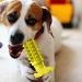 Zceplem Dog Toothbrush Toys - Conical & Toothed Cubes for Puppies | Classic Sound Dog Zingers (Yellow) | Best Study Toys for Dogs | Perfect for Shelters & Homes - Buy Online on GoSupps.com