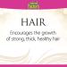 Natural Factors Biotin 1000 mcg - 90 Vegetarian Capsules for Healthy Hair, Skin & Nails - Buy Online on GoSupps.com