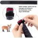 Quacoww Anti-Slip Dog Shoes - Waterproof Rubber Sole for Large Dogs | 2 Pairs with Adjustable Straps for Indoor & Outdoor Protection - Buy Online on GoSupps.com