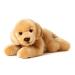 Uni-Toys - Golden Retriever puppy lying - 24 cm (length) - Plush dog pet - Plush toy cuddly toy