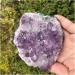 Amethyst 0.45kg Large Natural Amethyst Crystal Cluster Quartz Stone ZJGIDTEM - Buy Online on GoSupps.com