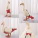 CDIYTOOL Chicken Duckling Diapers 3 Pack Pet Poultry Diapers Washable Portable Nappy Adjustable Cloth Diaper Farm Clothing Reusable Nappies Pants for Goose Duck Hen Chicken L Size - Buy Online on GoSupps.com