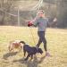 Double Retractable Dog Lead Reinforced Extendable with Non-Slip Handle Dog Lead with LED Light and Rubbish Box for Walking 2 Dogs 360 Tangle-Free Strong Nylon Band One-Hand Brake (Red) - Buy Online on GoSupps.com