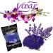 Wax Warmer Hair Removal Waxing Kit Electric Pot Heater Melts with Accessories. Painless Rapid Waxing of Face Body Bikini Area Total Home Waxing Solutions for Men & Women by Vaxy (Lavender) - Buy Online on GoSupps.com