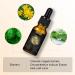 Face Tanning Drops Bronzing Drops - Self Tanning Drops for Face Instant Tan Fake Tan Streak-Free Self Tanning Drops with Aloe Vera & Plant Extracts - Face Tan Drops Liquid Facial Bronzing Solution - Buy Online on GoSupps.com