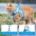 Shop BriFit Cat Dishes - Leash-Resistant Adjustable Cat Vest & Harness | Reflective Stripes for Cats & Puppies | Blue XS - International Shipping Available - Buy Online on GoSupps.com