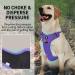 Dociote Anti-Zug Dog Harness - Safety Harness with Handle & Reflector Strips for Medium & Large Dogs - No Pull - Lila L (1 Pack) - Buy Online on GoSupps.com