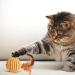 Shengruili Cat Sisal Balls - Set of 6 Eco-Friendly Interactive Toys for Kittens & Cats - Buy Online on GoSupps.com