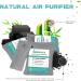 Natural Air Purifier Bags - Bamboo Charcoal Odor Absorbers & Moisture Eliminators | 12 Pack (6x200g + 6x75g) for Closet Shoes & Cars - Buy Online on GoSupps.com
