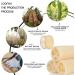 6 pack Natural Loofah Sponges Biodegradable Body Scrubbers Exfoliating Loofah Bath Sponge Buff Away Dead Skin Smoother Great for Shower Scrubbing and Kitchen Cleaning (4 inch) (6 Pack-b) - Buy Online on GoSupps.com
