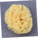 Housoutil Bath Sponge Sponges Bath Shower Sponge Seaweed Sponge Bath Flower Take a Bath Baby - Buy Online on GoSupps.com