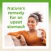 Natural Factors DGL Root Extract 180 Chewable Tablets | Digestive Health Support - Buy Online on GoSupps.com
