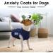 Hjumarayan Dog Jacket - Lightweight Reflective Vest for Small Dogs | Comfortable XS Dark Blue Dog Coat - Buy Online on GoSupps.com