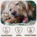 Petlove Chewing Root for Dogs - Natural Hypoallergenic Chewing Bones Without Additives | Size S (125-249g) - Ideal for Puppies - Buy Online on GoSupps.com